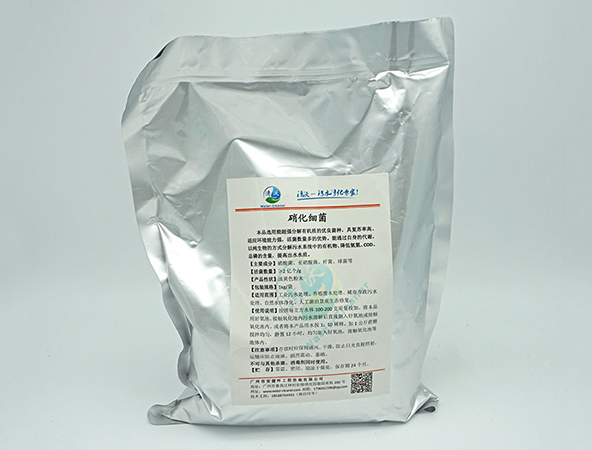 潮州硝化细菌